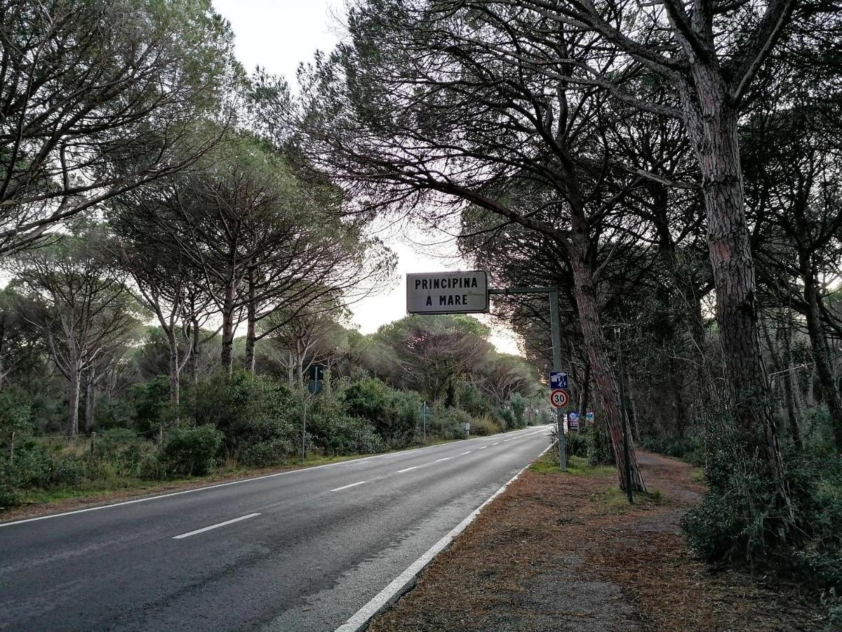 Stella Marina Daire Principina a Mare Dış mekan fotoğraf